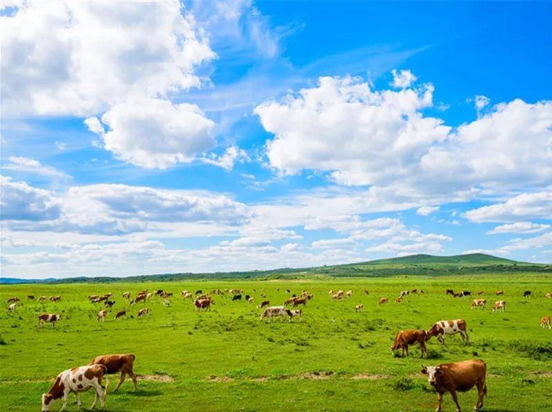 探寻内蒙古的自然魅力与人文风情